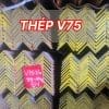Sắt thép V75