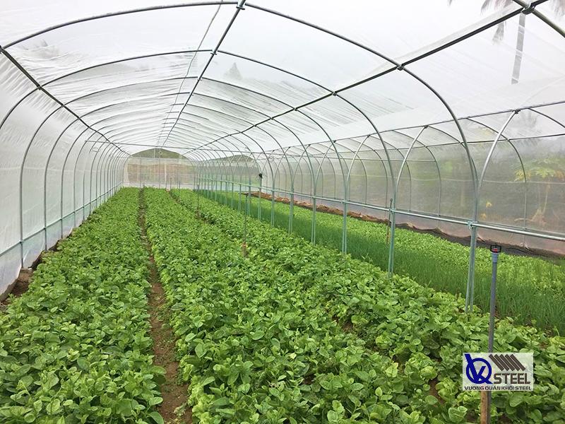 Xây dựng nhà màng tại các vườn rau ở Đồng Tháp thường dùng thép ống nhúng kẽm Hòa Phát