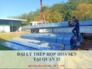 Đại lý thép hộp Hoa Sen tại Quận 11