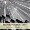 Sắt Hộp 20x40 Hoa Sen