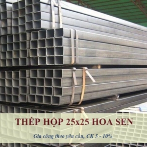 Sắt Hộp 25x25 Hoa Sen