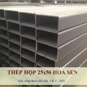 Sắt Hộp 25x50 Hoa Sen