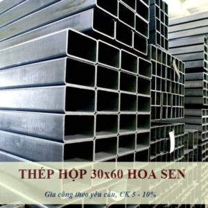 Sắt Hộp 30x60 Hoa Sen